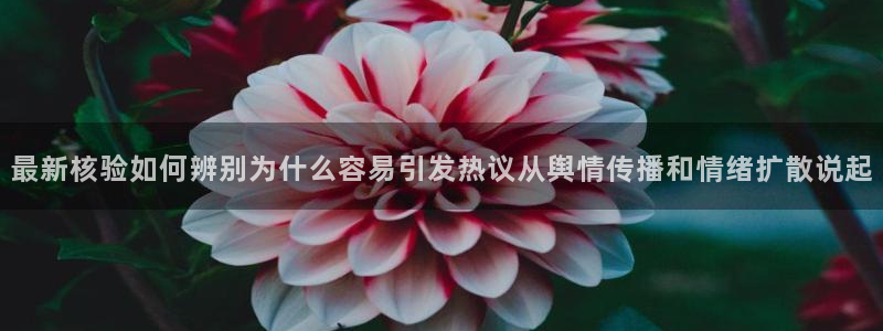 黑料爆料资讯网